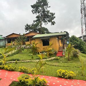 King Room Garden View